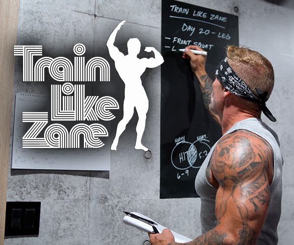 Train Like Zane Train Like Frank Zane Day 20 Comparing Mike Mentzer Heavy Duty HIT Training